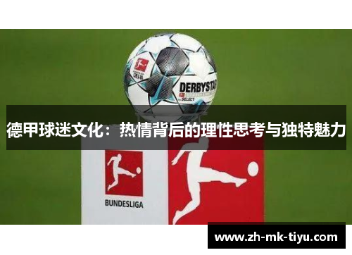 德甲球迷文化：热情背后的理性思考与独特魅力